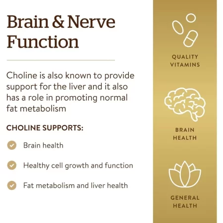 Solgar Colina de 350 mg, 100 cápsulas vegetales – Apoya la función cerebral saludable y celular – Vegano, sin gluten, sin lácteos, Kosher – 100 porciones