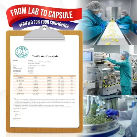 Tribulus Terrestris 98% Saponinas – Fórmula mejorada 12 en 1 con yohimbina, Panax Ginseng rojo, Ashwagandha para aumentar la energía